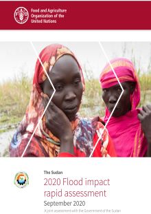 The Sudan | 2020 Flood impact rapid assessment 